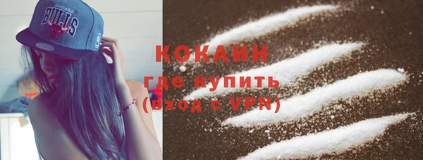 сатива Белокуриха