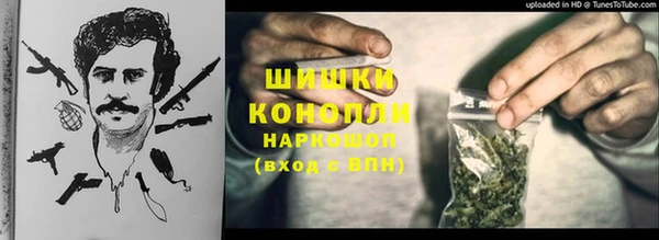 сатива Белокуриха