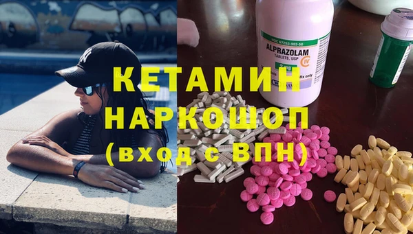 сатива Белокуриха