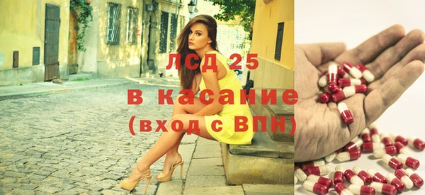 сатива Белокуриха