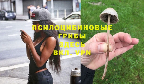 сатива Белокуриха