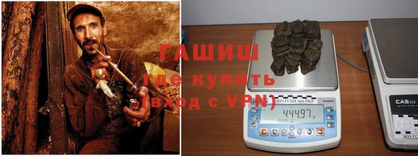 сатива Белокуриха
