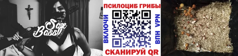 Псилоцибиновые грибы GOLDEN TEACHER  где купить наркоту  Красный Холм 